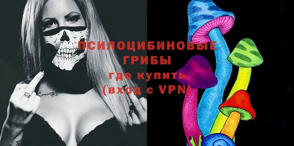 соль ск Горно-Алтайск